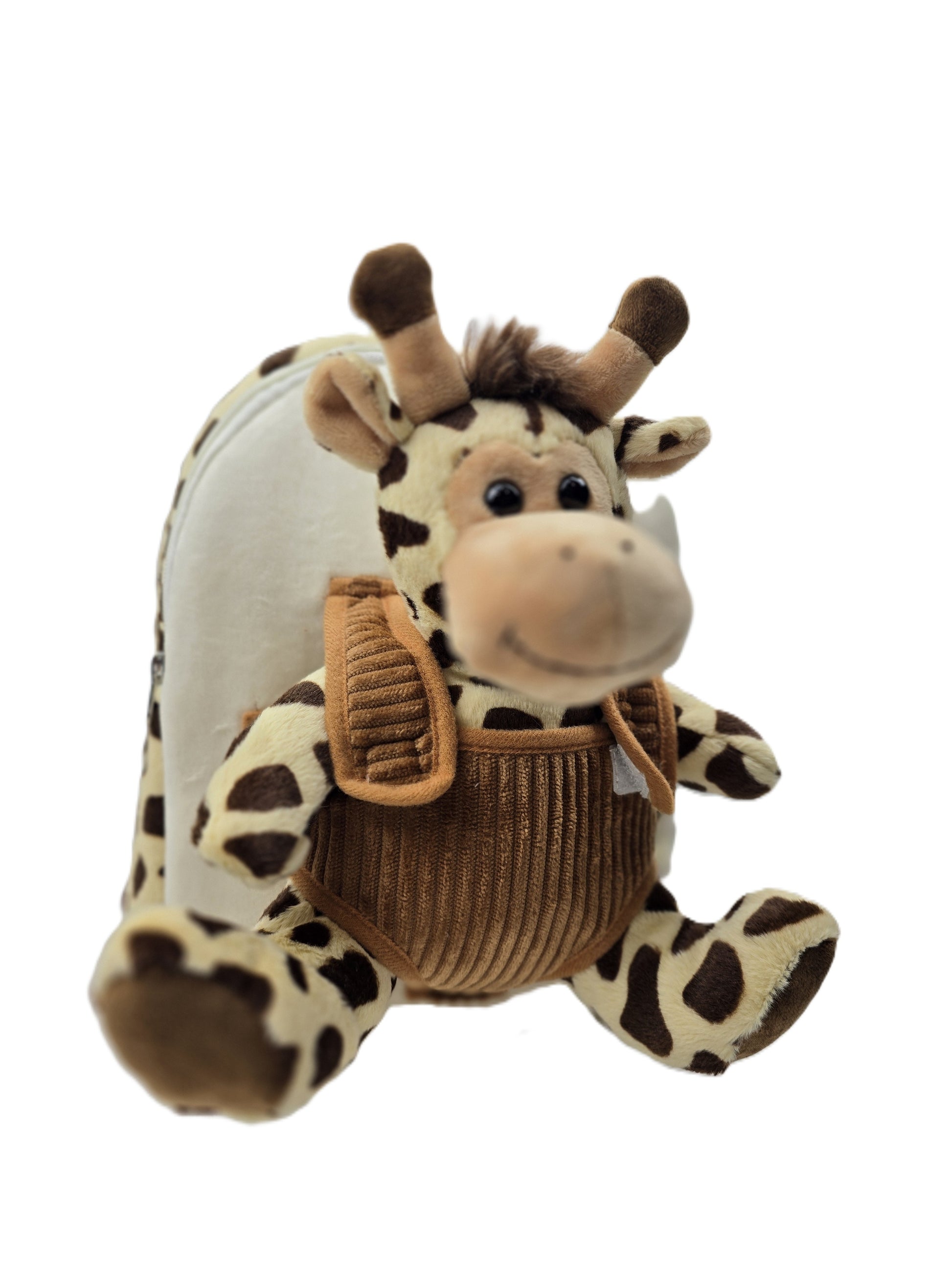 Toddler & Preschool Bags